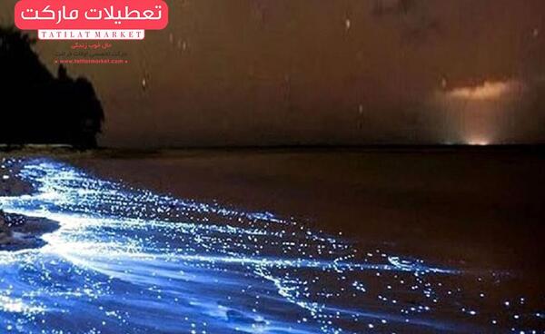 عکس دریای سرخ هرمزگان