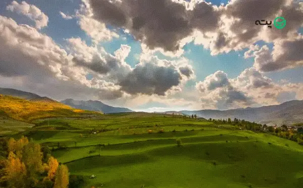 عکس گرگاس در شبستر