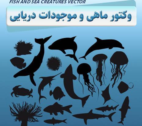 دانلود عکس عروس دریایی