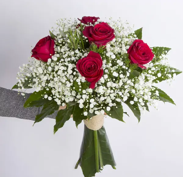 عکس شاخه عروس