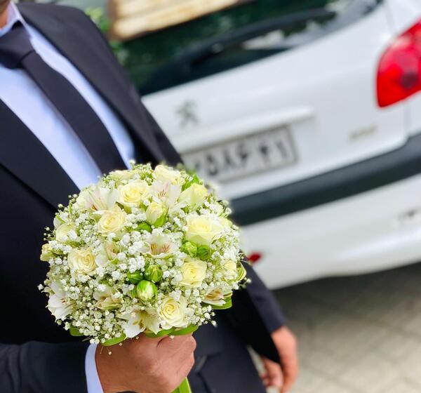 عکس شاخه عروس