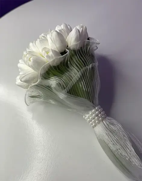 عکس شاخه عروس