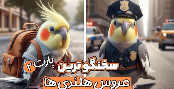 عکس فیلم عروس هلندی