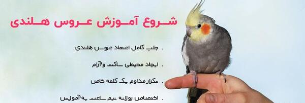عکس عروس هلندی سخنگو واضح