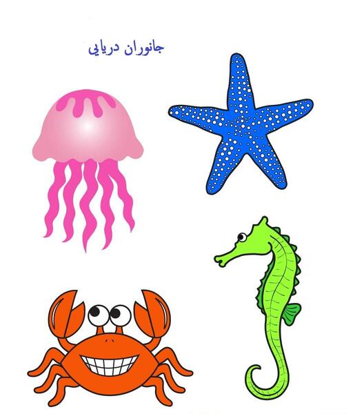عکس نقاشی عروس دریایی