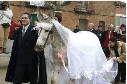 عکس عروس عجیب و غریب