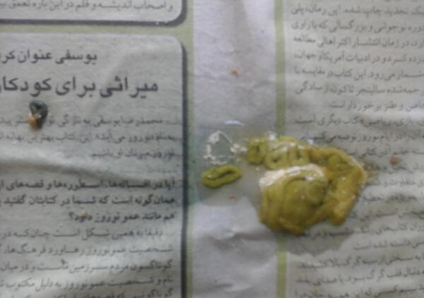 عکس طنز عروس هلندی