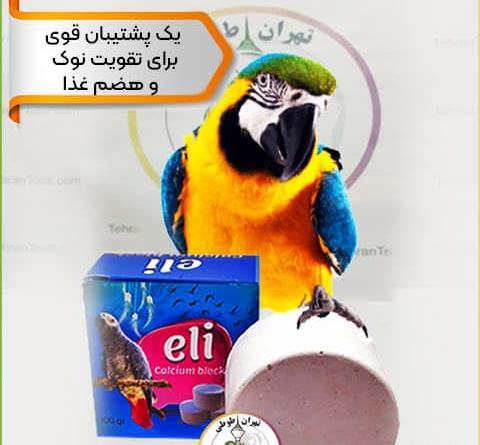 عکس طنز عروس هلندی