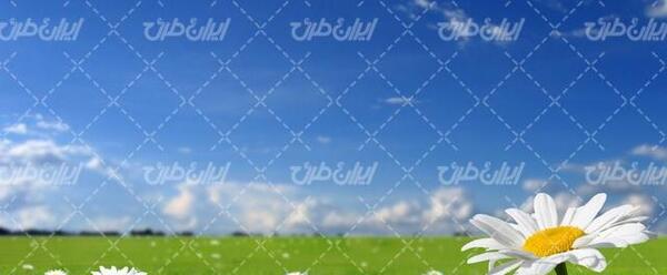 عکس زیبا از منظره بهاری