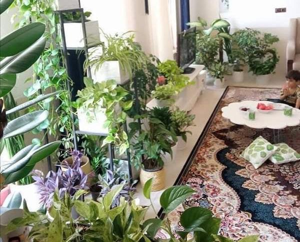 عکس عروسی هاتون نی نی سایت
