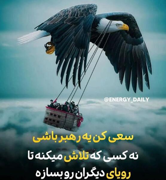 عکس پروفایل یک عقاب همیشه تنهاست