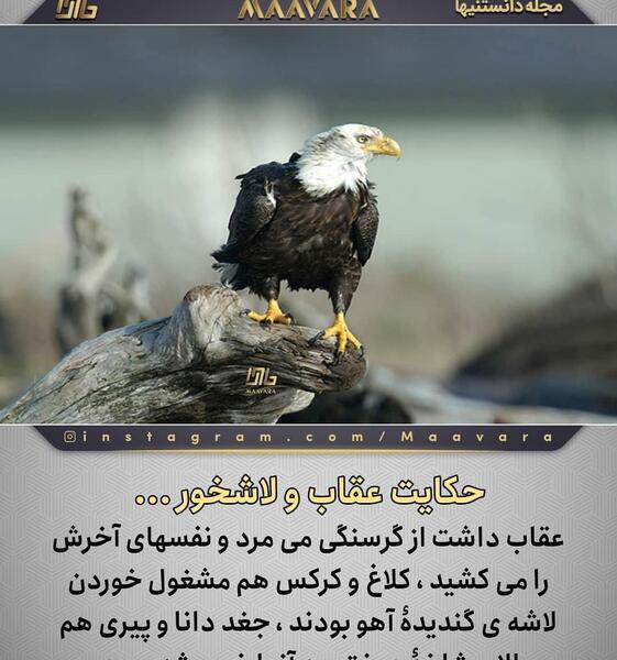 عکس نوشته عقاب برای پروفایل