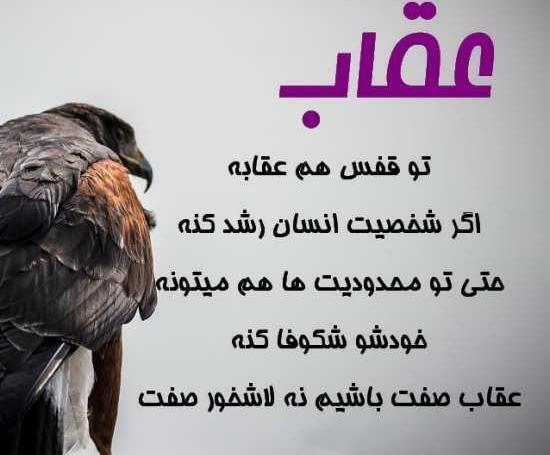عکس نوشته عقاب برای پروفایل