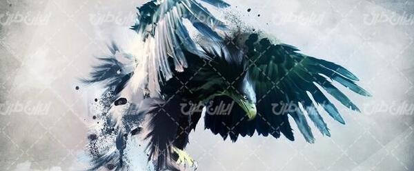 عکس نقاشی کودکانه ی عقاب