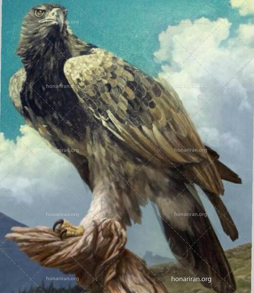 عکس نقاشی عقاب آسان