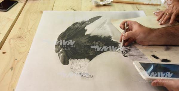 عکس نقاشی عقاب سخت