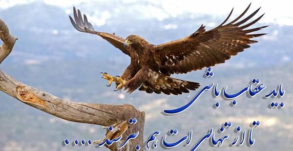 خفن عکس نوشته عقاب مغرور
