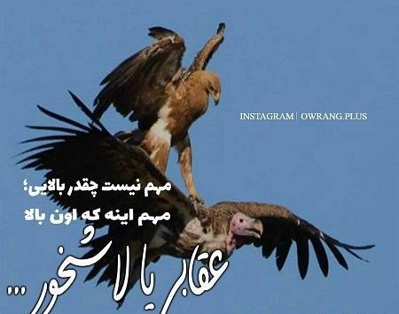 خفن عکس نوشته عقاب مغرور