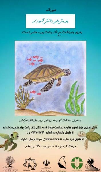 عکس از لاک پشت پوزه عقابی