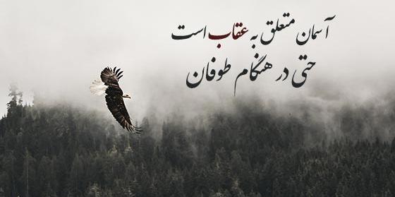 عکس نوشته عقاب و گرگ