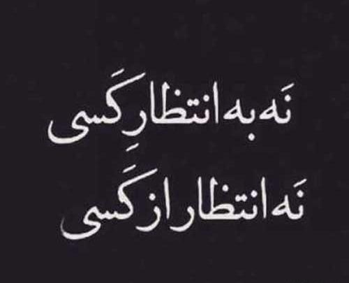 عکس عقاب با نوشته لاتی