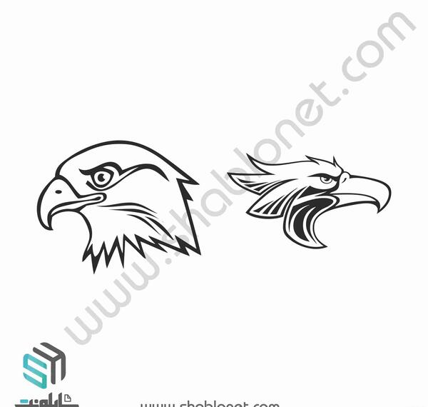 عکس های گرافیکی عقاب