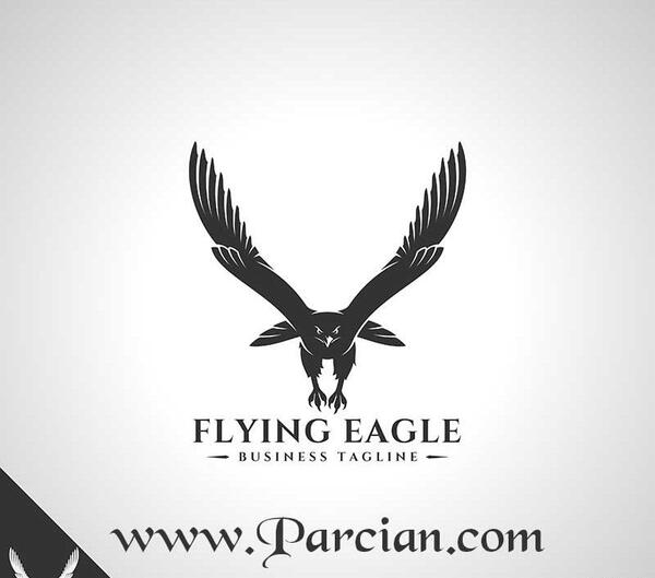 عکس های گرافیکی عقاب