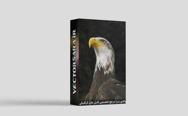 عکس های گرافیکی عقاب
