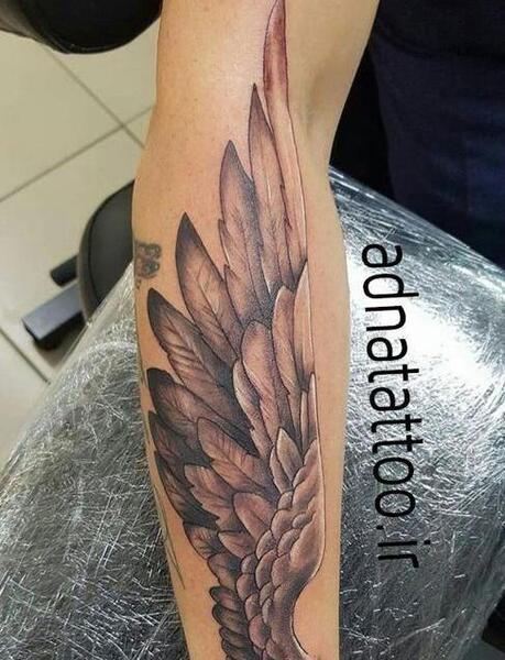 عکس عقاب کوچک برای تاتو