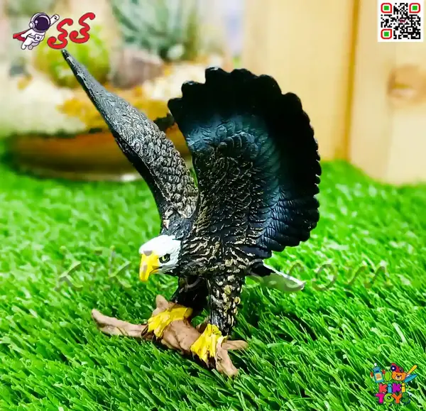 عکس و قیمت عقاب