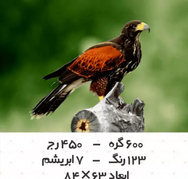 عکس و قیمت عقاب