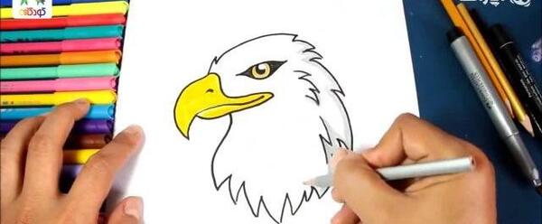 عکس نقاشی عقاب کارتونی