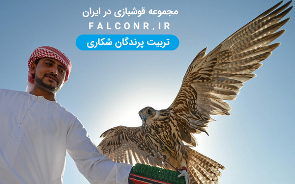 قیمت عکس عقاب