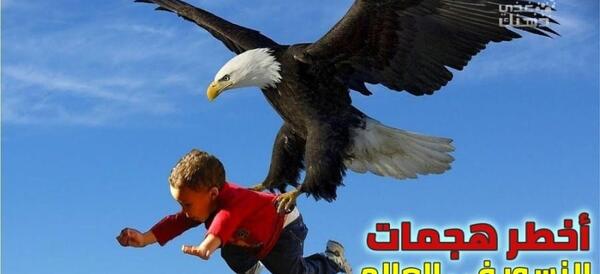 عکس وحشی ترین عقاب