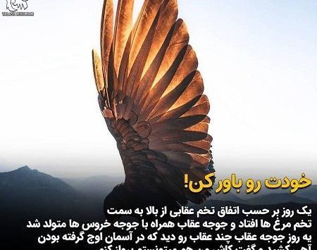 عکس عقاب با متن زیبا