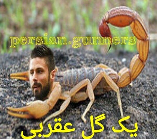 عکس خطرناک ترین عقرب در جهان