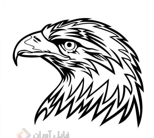 عکس پروفایل عقاب خشمگین