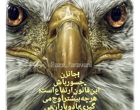 خفن سنگین پرمعنی عکس نوشته عقاب برای پروفایل