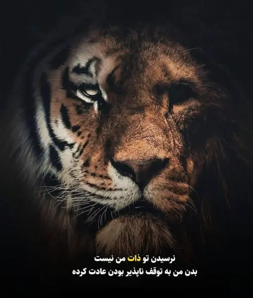 خفن سنگین پرمعنی عکس نوشته عقاب برای پروفایل