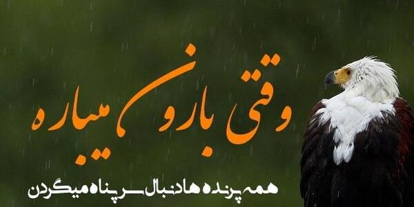 خفن سنگین پرمعنی عکس نوشته عقاب برای پروفایل
