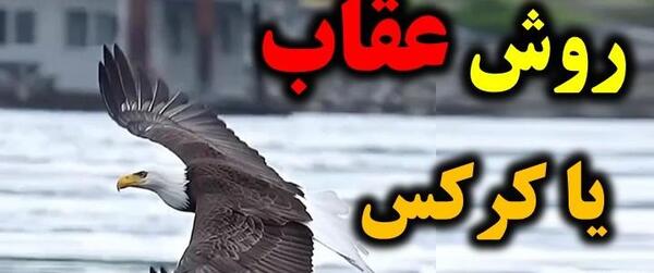 عکس پرواز عقاب در اوج آسمان