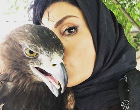 عکس عقاب ترسناک برای پروفایل