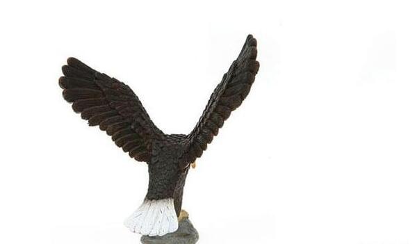 عکس یک جفت عقاب در حال پرواز