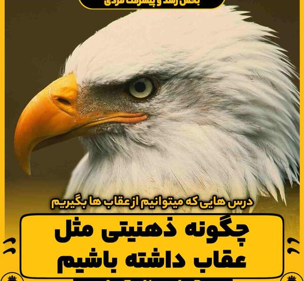 عکس پیری عقاب