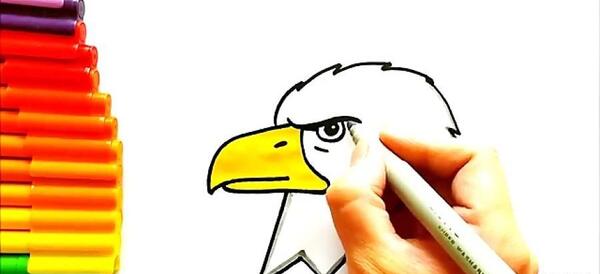 عکس عقاب برای نقاشی کودکان