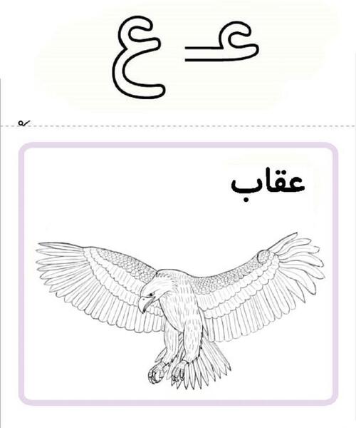 عکس عقاب برای نقاشی کودکان