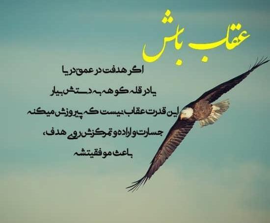 عکس پروفایل عقاب خفن