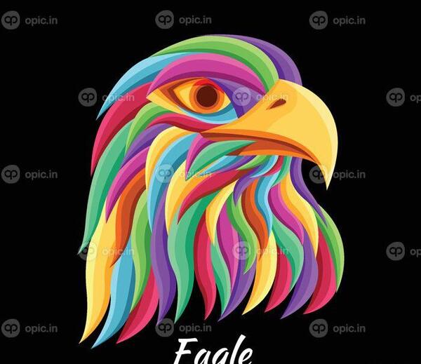 عکس سر عقاب برای نقاشی