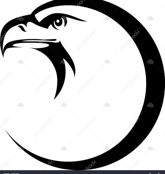 عکس کله عقاب برای نقاشی