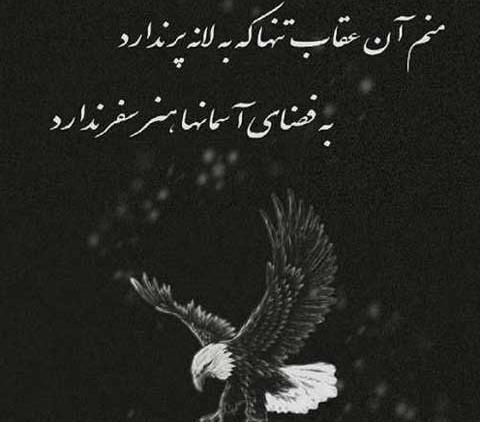عکس پروفایل عقاب با متن